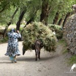 Daily life of Zarafshan Valley, Tajikistan