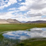 Meadow near Murghab, Pamir, Tajikistan