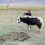 Kirgyz Nomadic Girl in Alichur Valley, Pamir, Tajiksitan