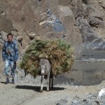 Bartang valley, Pamir, GBAO, Tajikistan