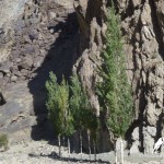 Bartang valley, Pamir, GBAO, Tajikistan