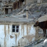Veshab Village, Zarafshan Valley, Tajikistan