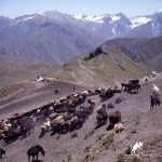 old photos, yagnobi daily life, yagnob valley, tajikistan