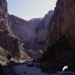 old photos, yagnobi George, yagnob valley, tajikistan