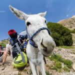 Hiking with Donkeys and Porter in Fann Mountains